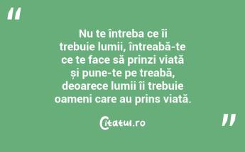 Nu te întreba ce îi trebuie lumii, întreabă-te ce te face să prinzi viață și pune-te pe treabă, deoarece lumii îi trebuie oameni care au prins viață. ...