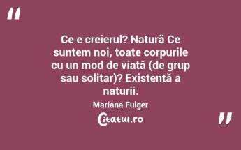 Ce e creierul? Natură Ce suntem noi, toate corpurile cu un mod de viață (de grup sau solitar)? Existență a naturii. Mariana Fulger...