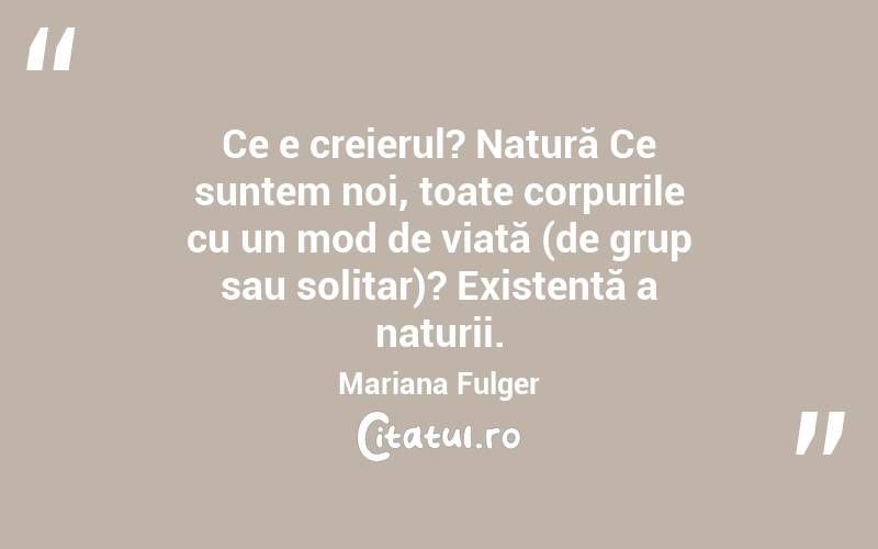 Ce e creierul? Natură Ce suntem noi, toate corpurile cu un mod de viață (de grup sau solitar)? Existență a naturii. Mariana Fulger
