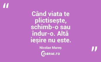 Când viața te plictisește, schimb-o sau îndur-o. Altă ieșire nu este. Nicolae Mareș...