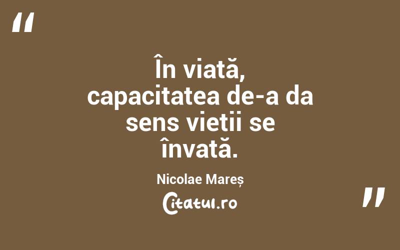 În viață, capacitatea de-a da sens vieții se învață. Nicolae Mareș
