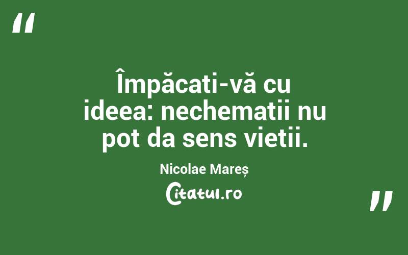 Împăcați-vă cu ideea: nechemații nu pot da sens vieții. Nicolae Mareș
