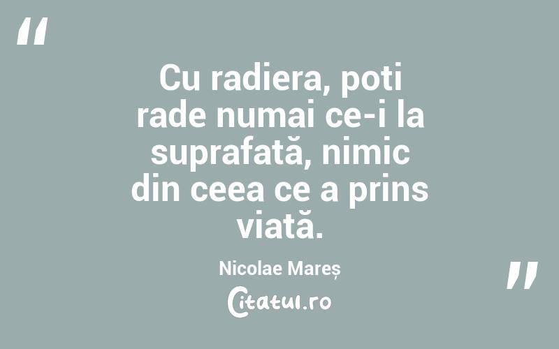 Cu radiera, poți rade numai ce-i la suprafață, nimic din ceea ce a prins viață. Nicolae Mareș
