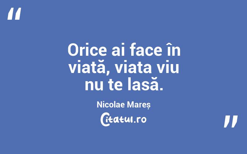Orice ai face în viață, viața viu nu te lasă. Nicolae Mareș
