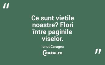 Ce sunt viețile noastre? Flori între paginile viselor. Ionuț Caragea...