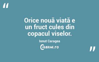 Orice nouă viață e un fruct cules din copacul viselor. Ionuț Caragea...
