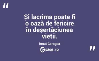 Și lacrima poate fi o oază de fericire în deșertăciunea vieții. Ionuț Caragea...