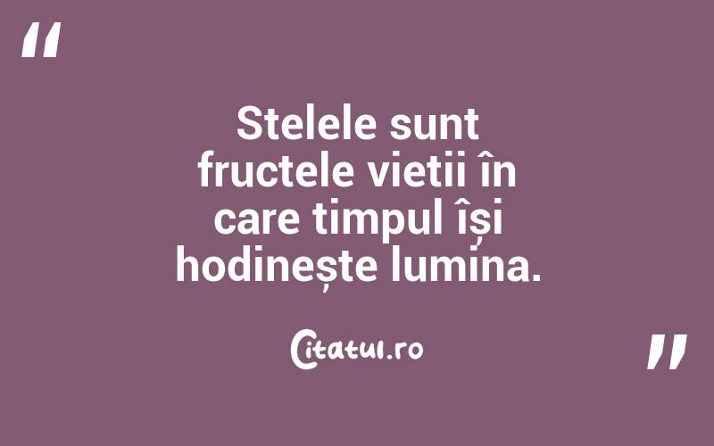 Stelele sunt fructele vieții în care timpul își hodinește lumina. 
