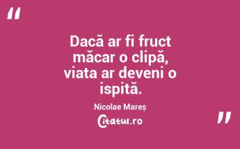 Dacă ar fi fruct măcar o clipă, viața ar deveni o ispită. Nicolae Mareș...