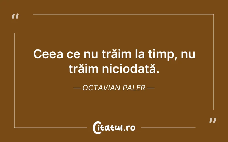 Citat Octavian Paler - citate viata