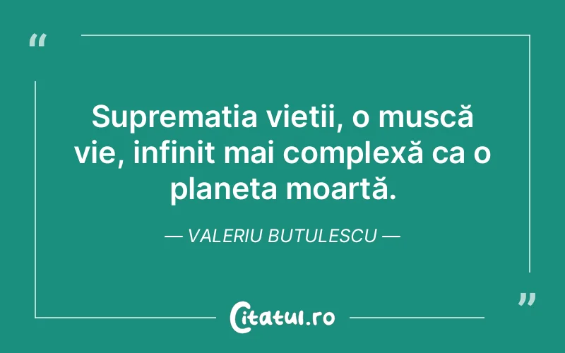Citat Valeriu Butulescu - citate viata