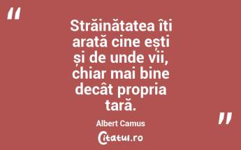 Străinătatea îți arată cine ești și de unde vii, chiar mai bine decât propria țară. Albert Camus...