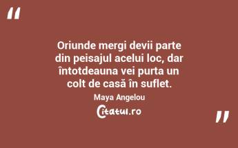 Oriunde mergi devii parte din peisajul acelui loc, dar întotdeauna vei purta un colț de casă în suflet. Maya Angelou...