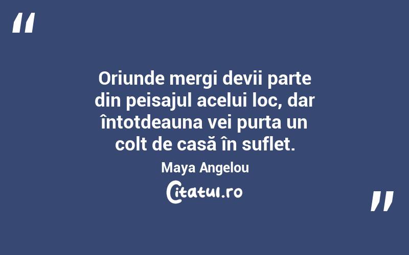 Oriunde mergi devii parte din peisajul acelui loc, dar întotdeauna vei purta un colț de casă în suflet. Maya Angelou
