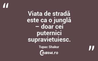 Viața de stradă este ca o junglă – doar cei puternici supraviețuiesc. Tupac Shakur...