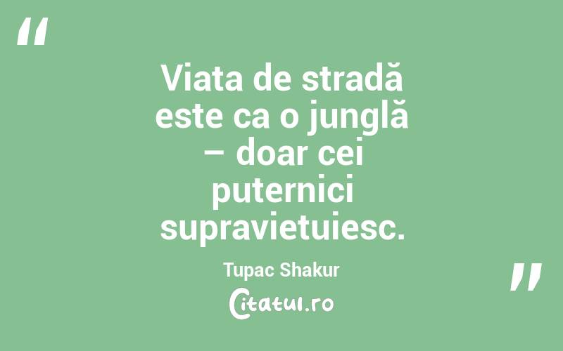 Viața de stradă este ca o junglă – doar cei puternici supraviețuiesc. Tupac Shakur