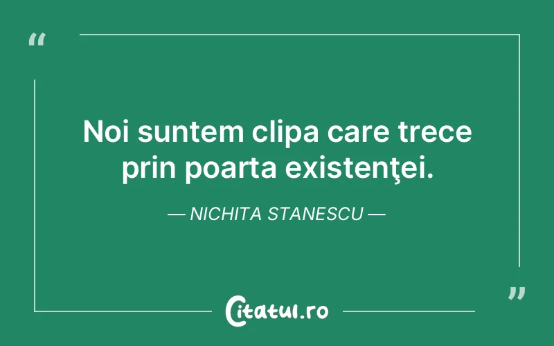 Citat Nichita Stanescu - citate viata