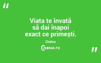 Viața te învață să dai înapoi exact ce primești. Cheloo...