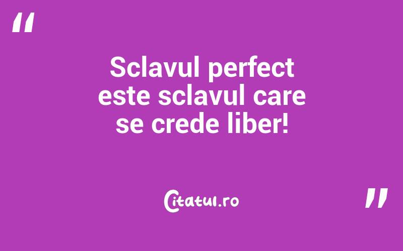 Sclavul perfect este sclavul care se crede liber!
