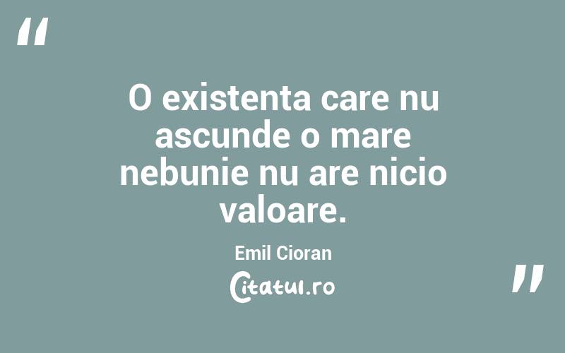 O existenta care nu ascunde o mare nebunie nu are nicio valoare.  Emil Cioran
