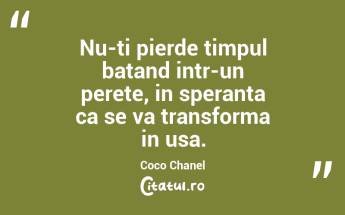 Nu-ti pierde timpul batand intr-un perete, in speranta ca se va transforma in usa.  Coco Chanel...