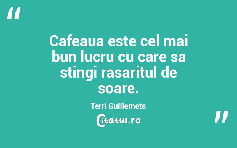 Cafeaua este cel mai bun lucru cu care sa stingi rasaritul de soare. Terri Guillemets