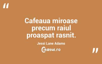 Eu judec un restaurant dupa paine si dupa cafea. Burt Lancaster...