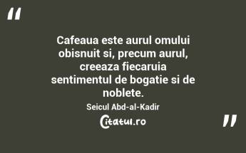 Imi acordez diminetile dupa tempoul cafelei. Terri Guillemets...