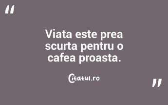 Atata timp cat exista cafea pe lume, cat de rau poate fi? Cassandra Clare, City of Ashes...