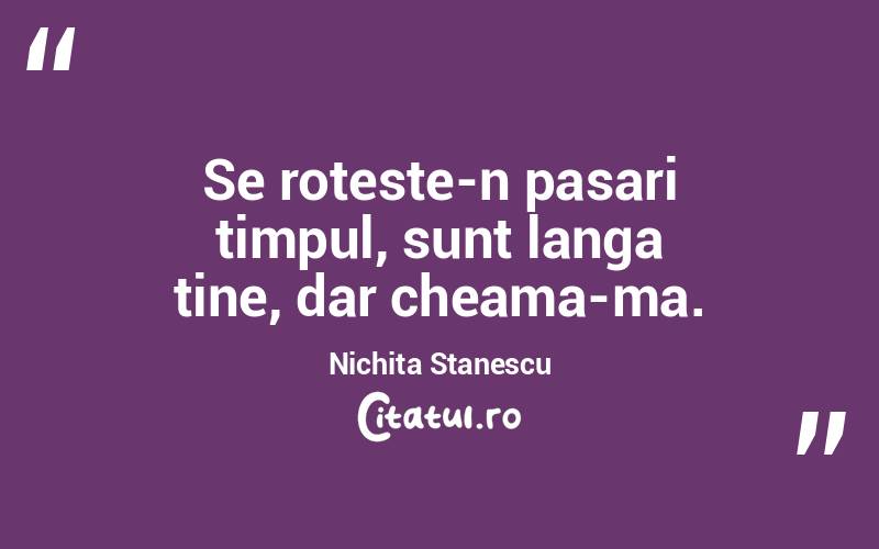 Se roteste-n pasari timpul, sunt langa tine, dar cheama-ma. Nichita Stanescu