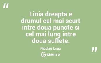 Linia dreapta e drumul cel mai scurt intre doua puncte si cel mai lung intre doua suflete. Nicolae Iorga...