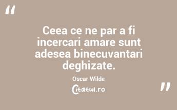 Ceea ce ne par a fi incercari amare sunt adesea binecuvantari deghizate.  Oscar Wilde...
