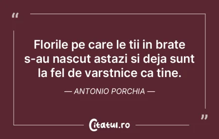 Timpul vindeca ceea ce ratiunea nu este ...