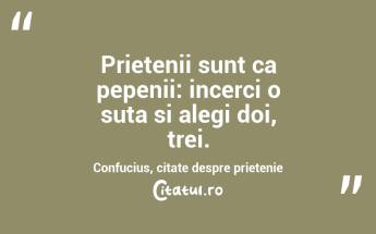 Prietenii sunt ca pepenii: incerci o suta si alegi doi, trei.  Confucius, citate despre prietenie...