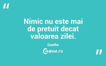 Ma doare tot ce iubesc acum, pentru ca presimt in orice frumusete sfarsitul, dar poate ca asa arata adevarata iubire. Bucura-te de acest dar vremelnic, striga o voce in mine. Caci nu exista decat daruri vremelnice. Octavian Paler...