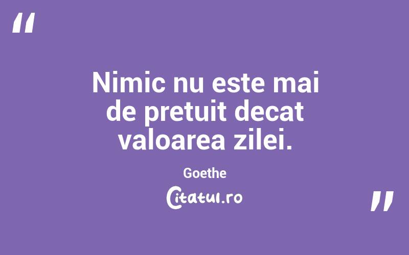 Nimic nu este mai de pretuit decat valoarea zilei. Goethe
