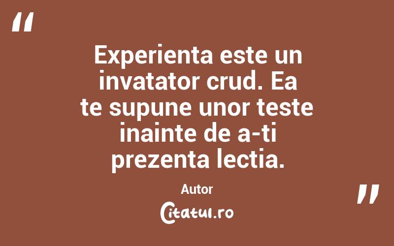 Experienta este un invatator crud. Ea te supune unor teste inainte de a-ti prezenta lectia. Autor 

