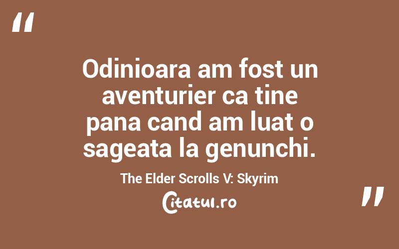Odinioara am fost un aventurier ca tine pana cand am luat o sageata la genunchi. The Elder Scrolls V: Skyrim