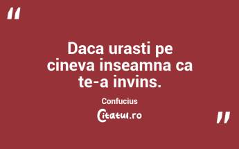 Un om care a comis o greseala si nu o corecteaza comite o alta greseala. Confucius...