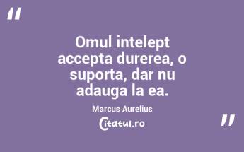 Oamenii se definesc dupa modul in care pierd. Constantin Noica...