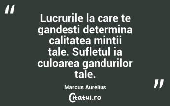 Fericirea e repetitia frecventa a placerii. Arthur Schopenhauer...
