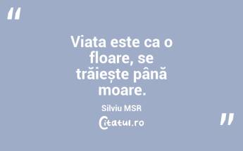 Viața e o scenă, iar noi suntem actorii. William Shakespeare...