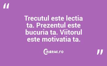 Fericirea nu se află în zilele perfecte, ci în imperfecțiunile care ne învață să iubim viața....