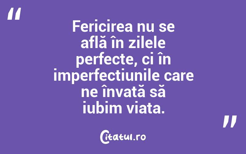 Fericirea nu se află în zilele perfecte, ci în imperfecțiunile care ne învață să iubim viața.
