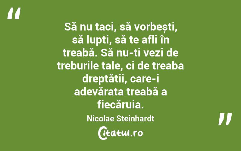 Să nu taci, să vorbești, să lupți, să te afli în treabă. Să nu-ți vezi de treburile tale, ci de treaba dreptății, care-i adevărata treabă a fiecăruia. Nicolae Steinhardt
