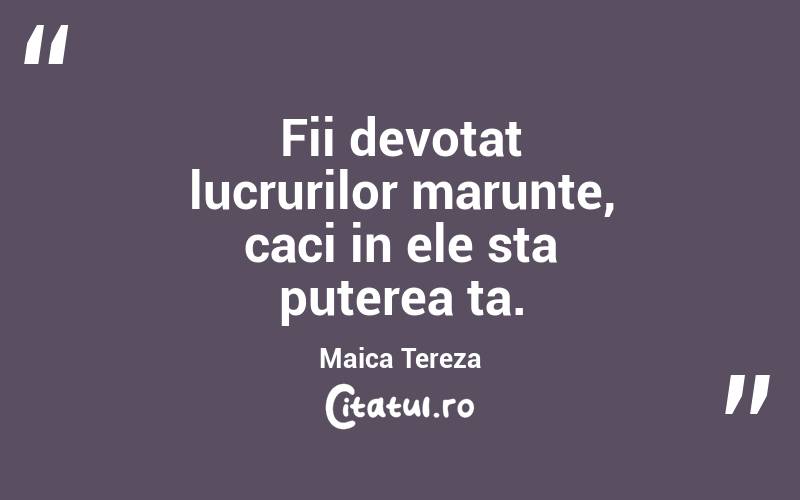 Fii devotat lucrurilor marunte, caci in ele sta puterea ta.  Maica Tereza