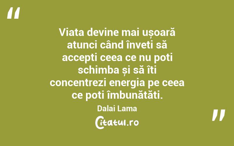 Viața devine mai ușoară atunci când înveți să accepți ceea ce nu poți schimba și să îți concentrezi energia pe ceea ce poți îmbunătăți. Dalai Lama