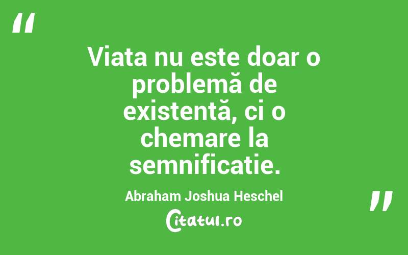 Viața nu este doar o problemă de existență, ci o chemare la semnificație. Abraham Joshua Heschel
