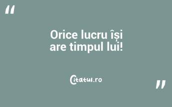 Educația este cheia care deschide porțile viitorului, iar o societate care își neglijează învățătura își sabotează propriul destin. Adela Xenopol...