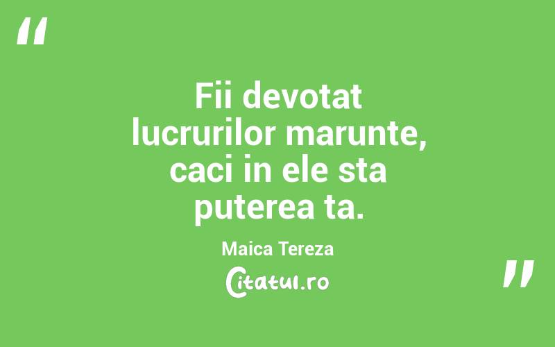 Fii devotat lucrurilor marunte, caci in ele sta puterea ta. Maica Tereza